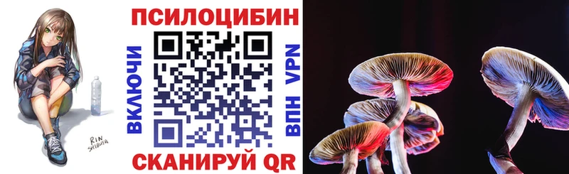Купить закладки  Октябрьск  Псилоцибиновые грибы Magic Shrooms 